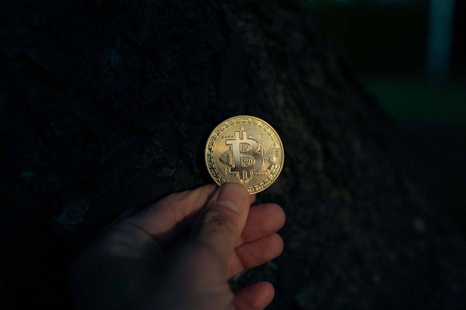 Welche Wallet-Lösung nutzt die Stiftung für Krypto?